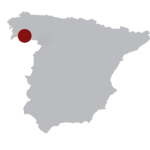 Fine Spanish Wines from Rias Baixas, Galicia - Solera Wine Merchants Dublin