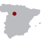 Exclusive Spanish Wines from Ribera del Duero Region