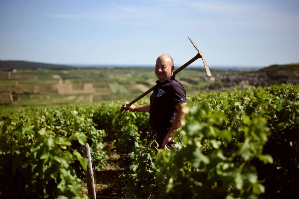 fournier-accueil in Ireland through Solera Wine Merchants in Dublin