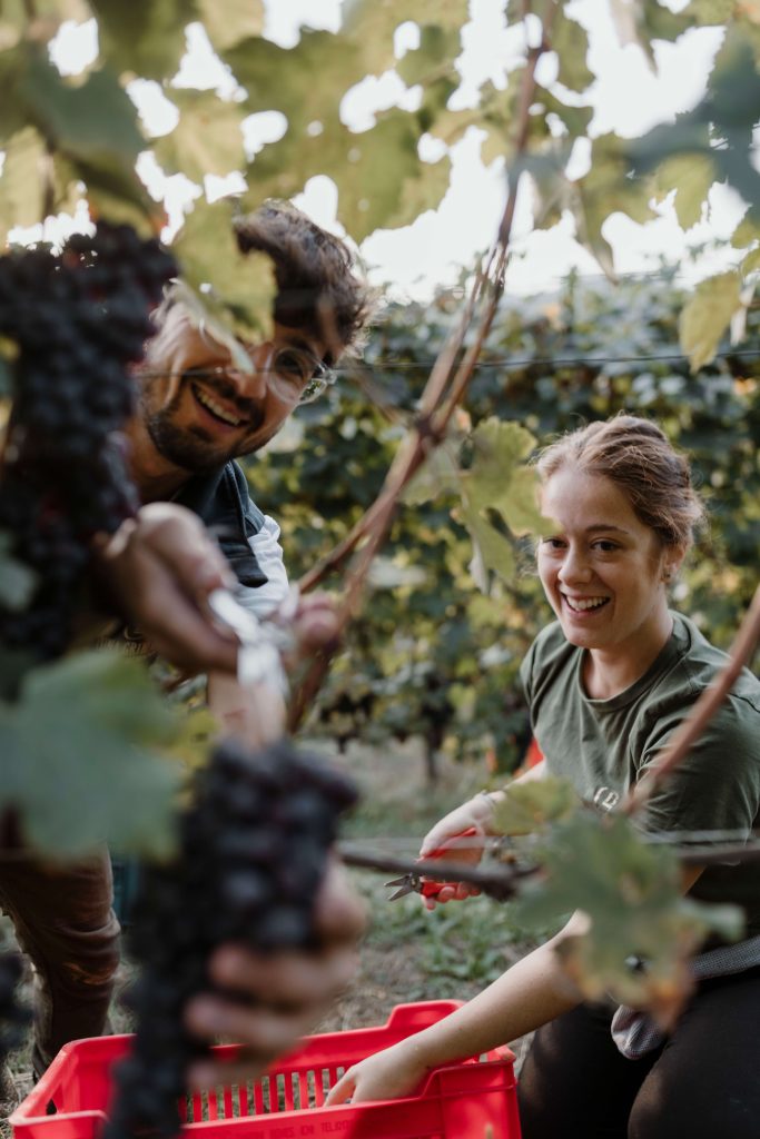 Bruna Grimaldi Winemaker available at Wholesale Italian Wines Ireland