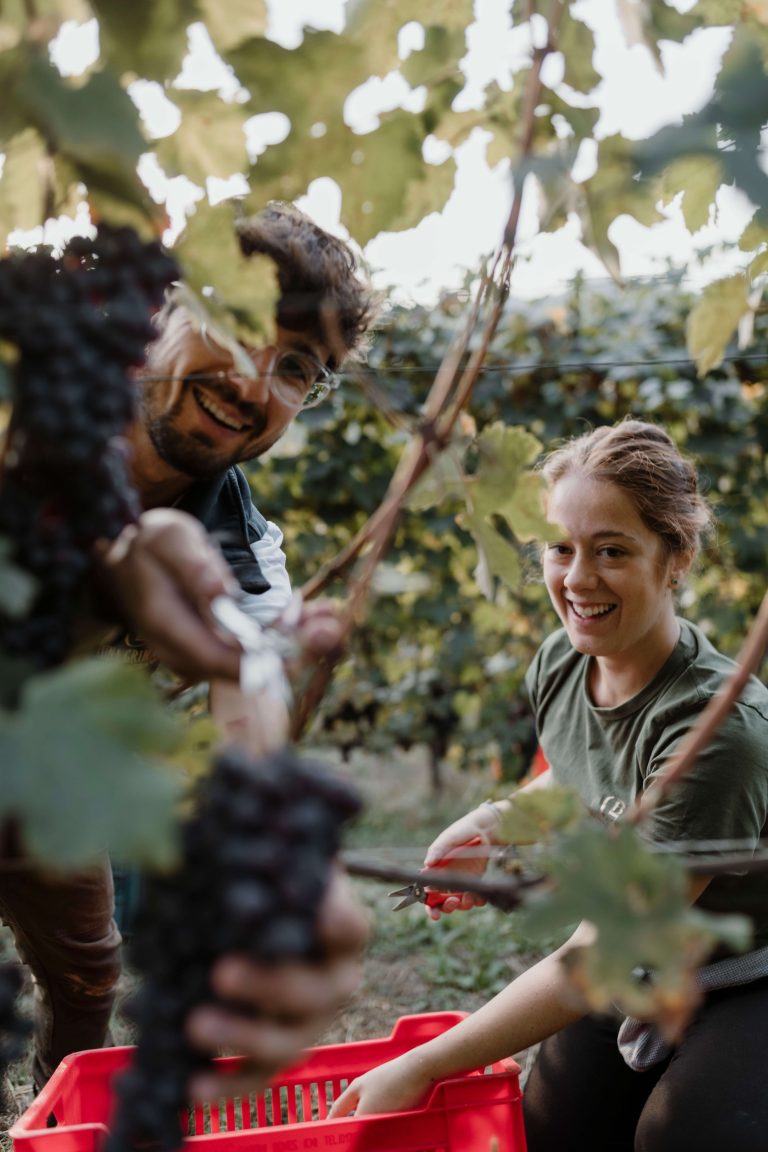 Bruna Grimaldi Winemaker available at Wholesale Italian Wines Ireland