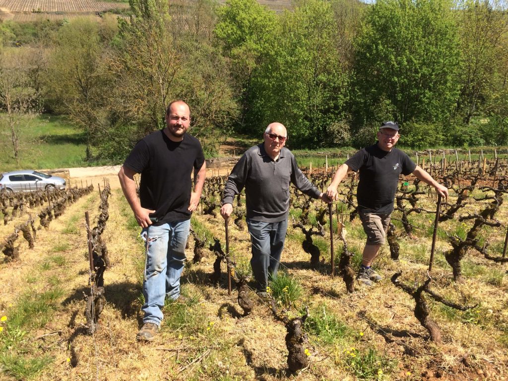 Domaine Laboreau in Ireland through Solera Wine Merchants in Dublin