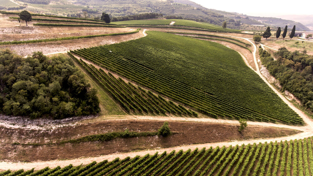 Italian Wines For Sale In Dublin, Ireland