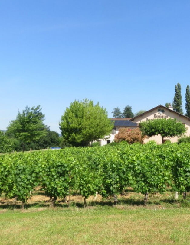 Domaine Gueugnon Remond for sale in Dublin, Ireland